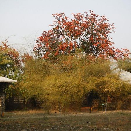 Renest Bandhavgarh Meadows Hotel Tāla Exterior photo