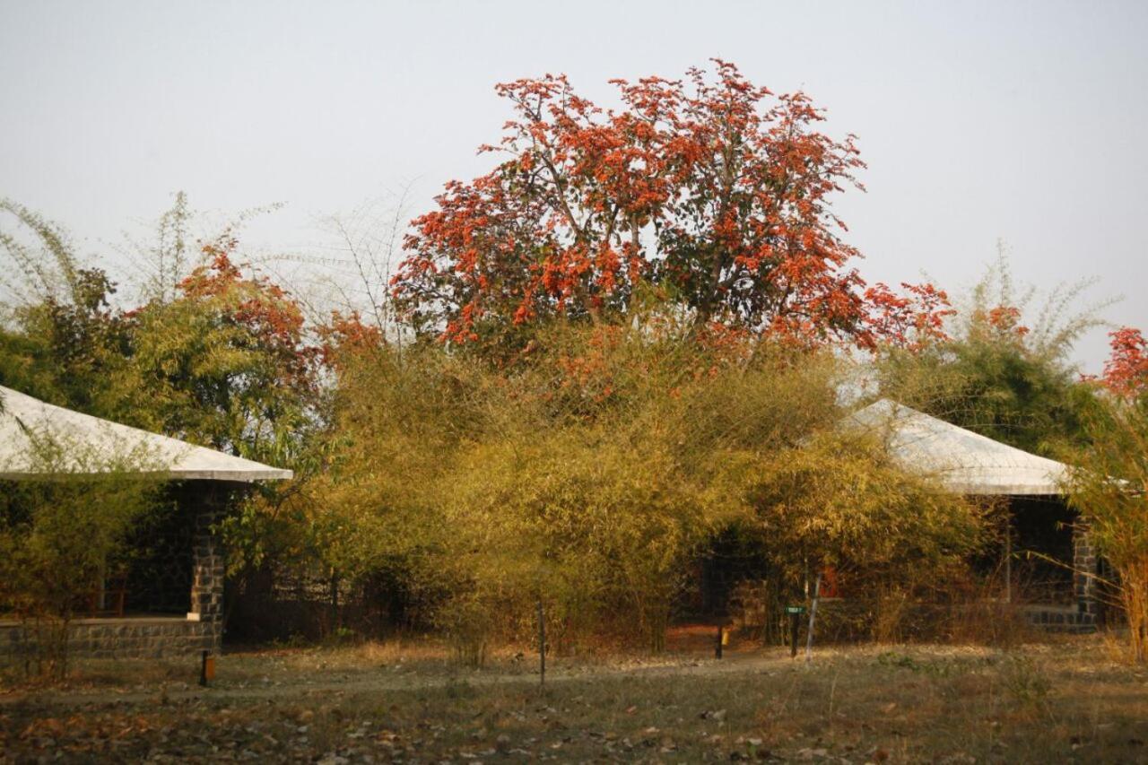 Renest Bandhavgarh Meadows Hotel Tāla Exterior photo